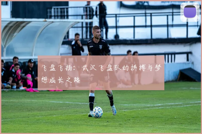 飞盘飞扬：武汉飞盘队的拼搏与梦想成长之路