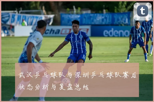 武汉乒乓球队与深圳乒乓球队赛后状态分析与复盘总结